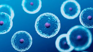 Stem Cells and Hyperbarics 1