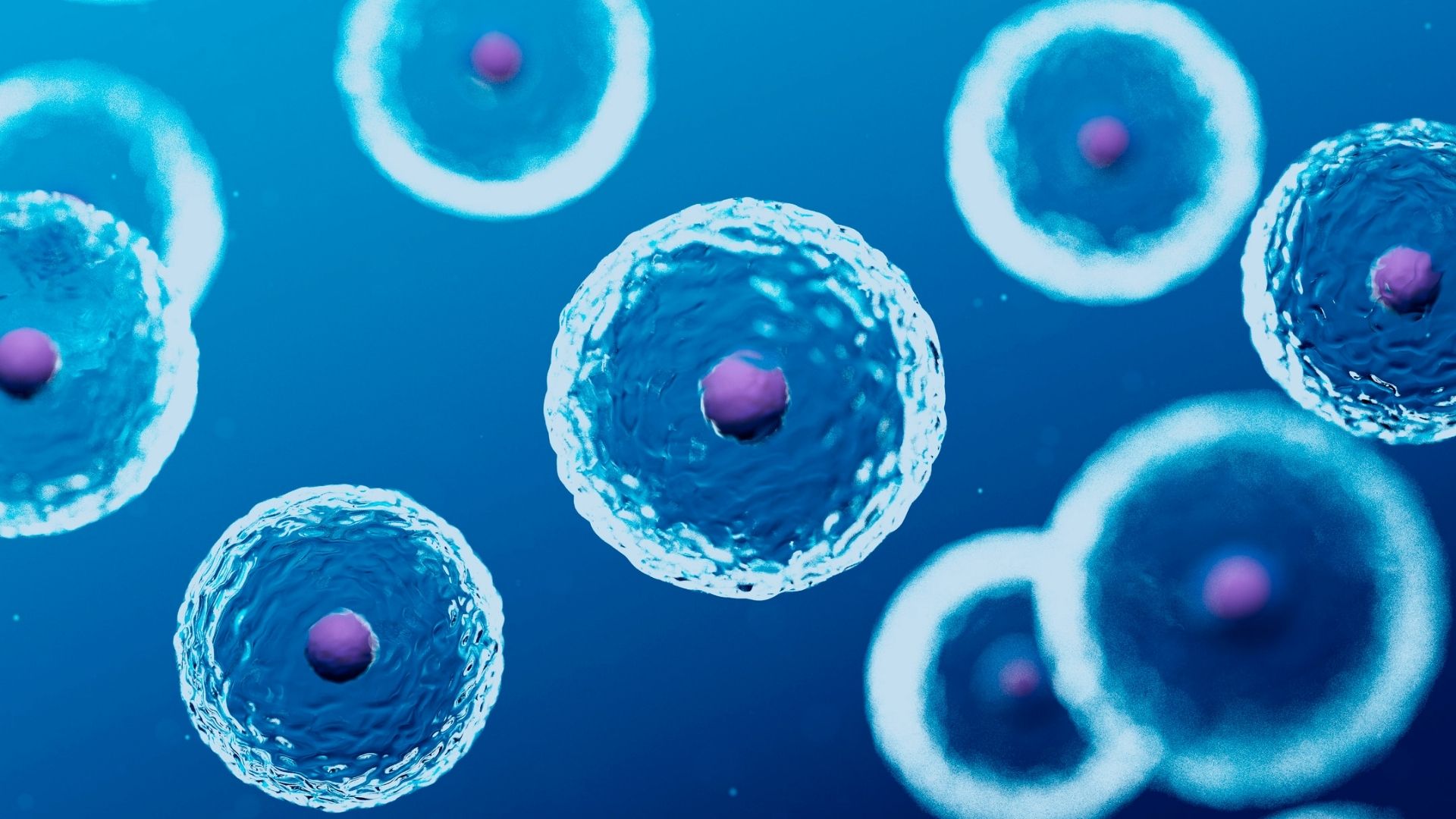 Hyperbaric Oxygen Therapy Shown to Improve Stem Cell Regeneration